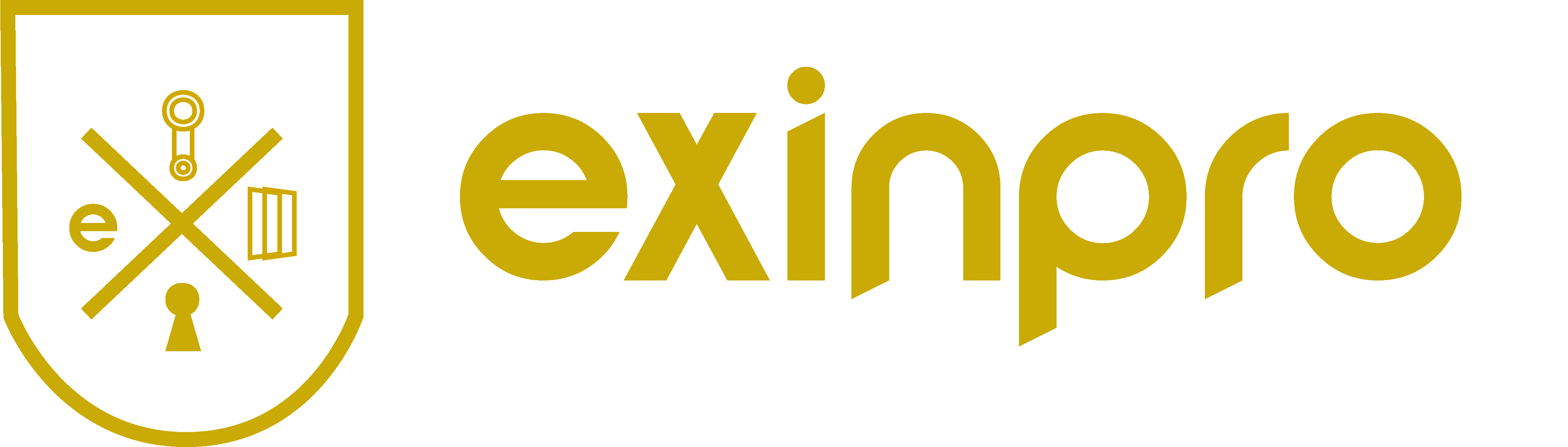Exinpro